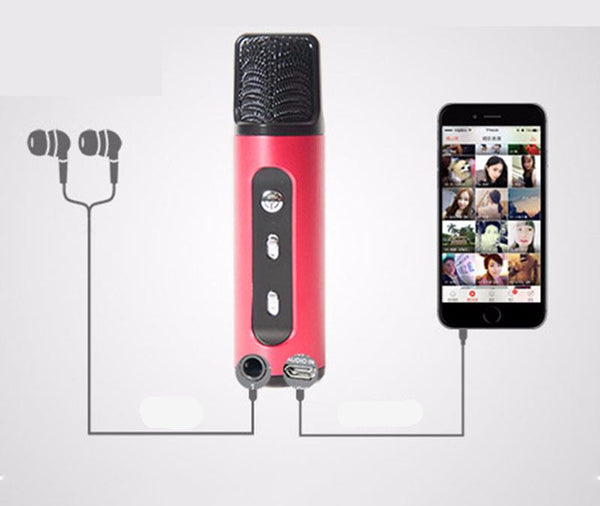 Portable Wireless Car Microphone