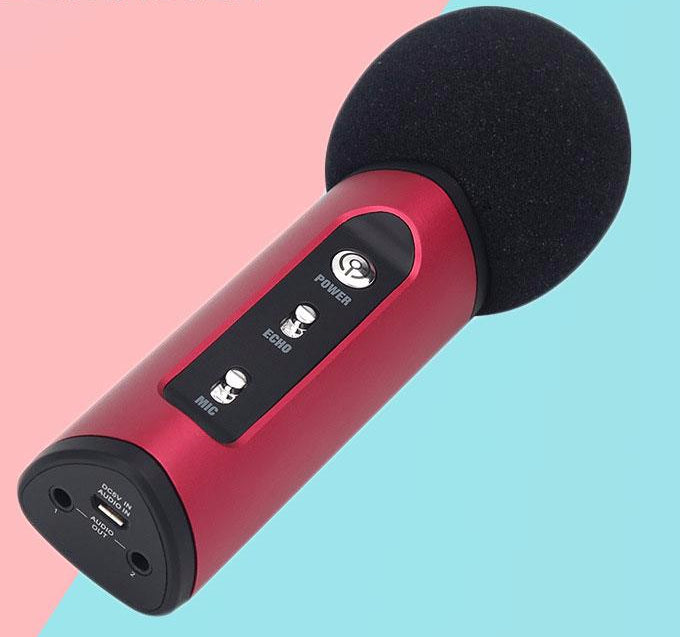 Portable Wireless Car Microphone
