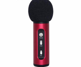 Portable Wireless Car Microphone