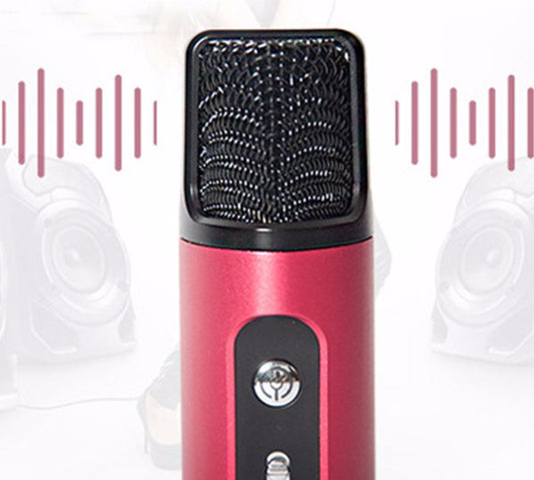 Portable Wireless Car Microphone